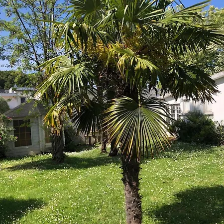 Apartament Louise A 500 M Des Plages *